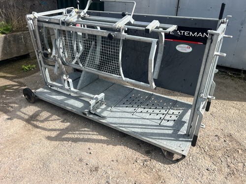 Bateman sheep turnover - sheep,