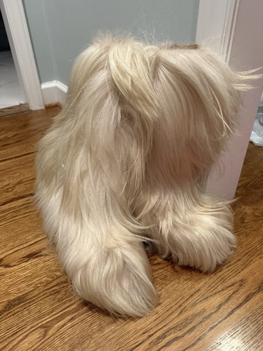 Oscar sport vintage yeti - oscar, apres