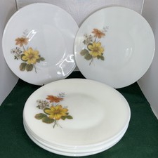 6 Pyrex JAJ Autumn Glory
