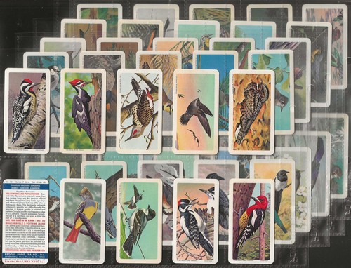 Brooke bond full set - brooke,