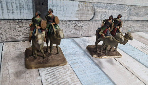 Camel cavalry painted units 4 - cavalry,