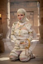 Professionally Taken Photo of