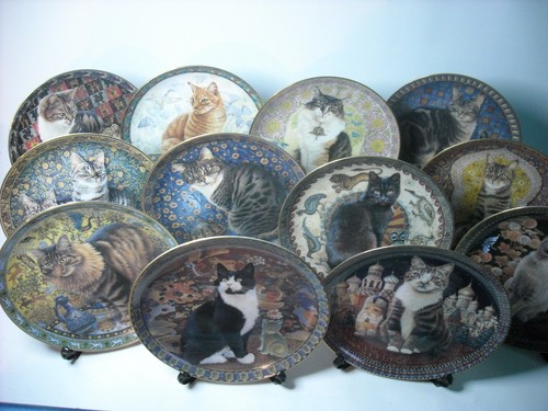 Choice cats around - choice, of
