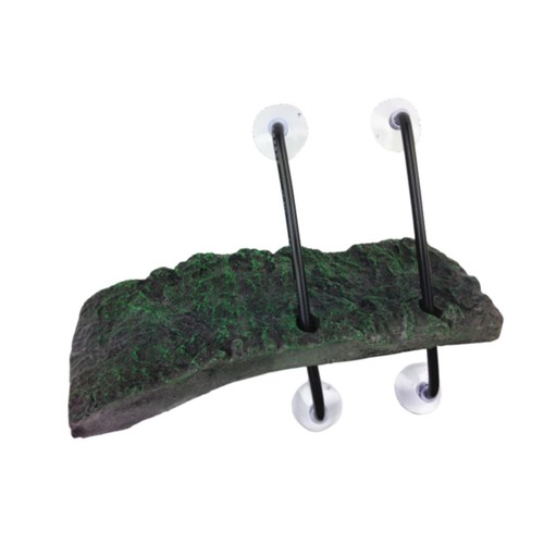 Reptiles dock floating resting - dock,