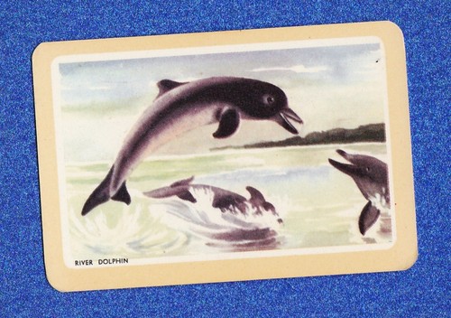 Vintage woolworths fish swap - vintage,