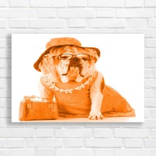 Fashionable female english - female,