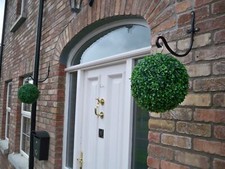 Boxwood Buxus hanging topiary