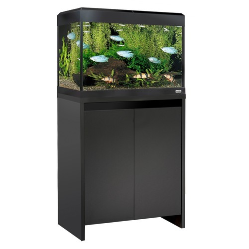 Fluval roma aquarium - roma, &
