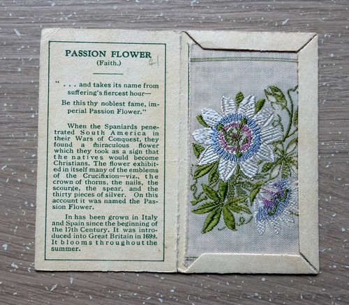 Kensitas wix flowers - kensitas,