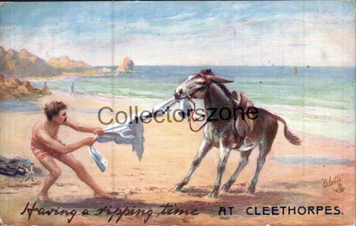 1910 seaside humour postcard - seaside,