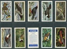 Brooke bond 1965 - brooke, birds
