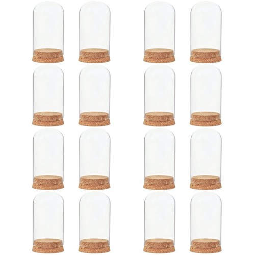 Decorative glass cloche - decorative,