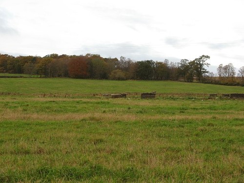Photo 6x4 moneydie farmland - photo,