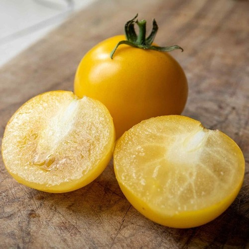 Yellow perfection tomato - 15,