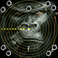 6 x Gorilla Adhesive Targets