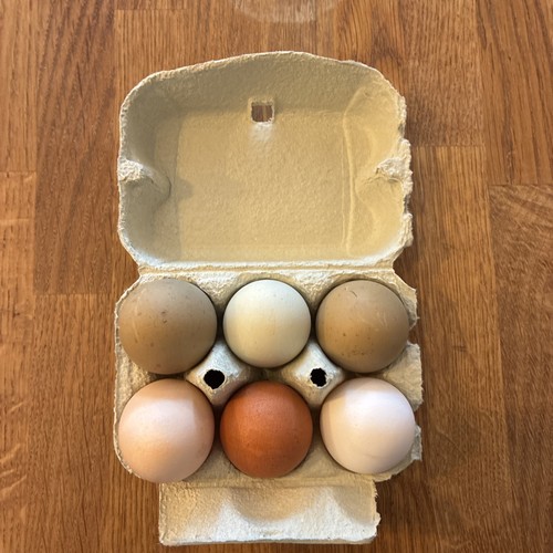 Chicken eggs - 6,
