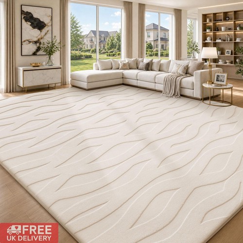 Modern large area rugs - large,