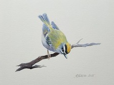 Goldcrest Original Signed