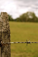 Barbed Wire 100m Galvanised