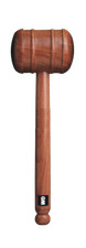 Gunn & Moore Cricket Bat