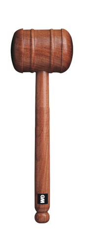 Gunn moore cricket bat - moore,