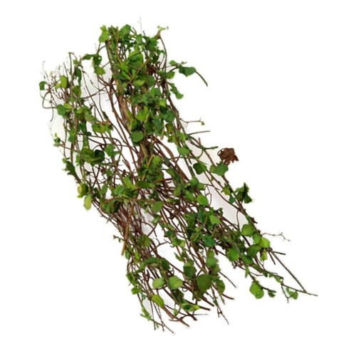 Miniatures vine plant - miniatures,
