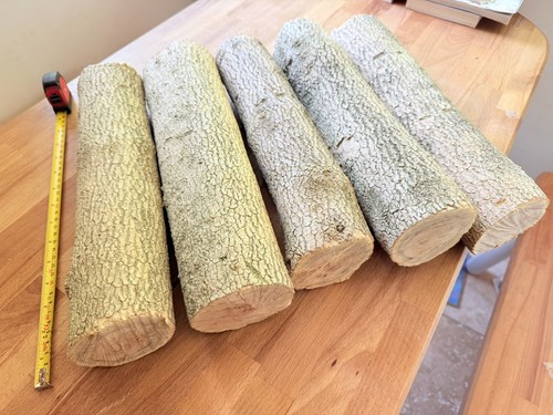 5no 12kg english - 12kg, boxwood