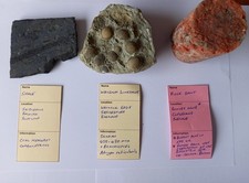 Rocks, Silurian Limestone, Rock Salt Core Sample & Carboniferous Shale