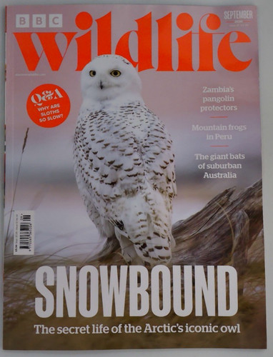 Bbc wildlife magazine sep 2026 - bbc,