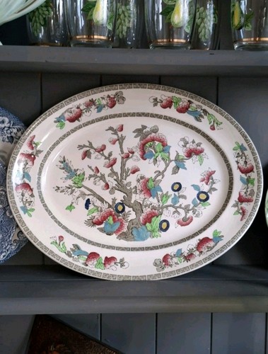 Indian tree oval - indian,