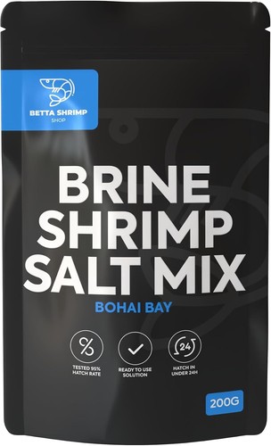 Baby brine shrimp eggs - shrimp,