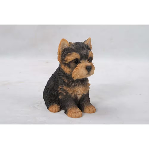 Yorkshire terrier puppy - yorkshire,