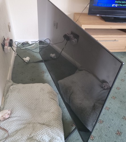 Hisense 55a6gtuk smart 4k - hisense,