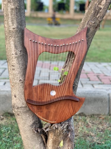 Metal strings lyre harp - strings,