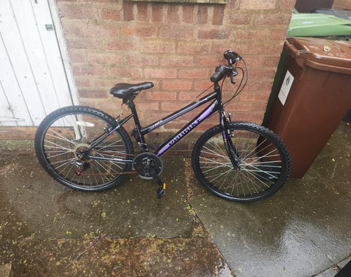 Apollo 26in mountain bike - apollo,
