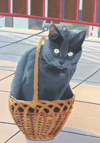 Cat basket limited - in,