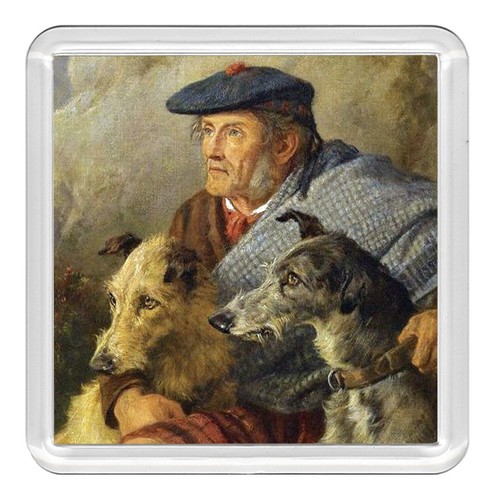 Deerhound lurcher dog - deerhound,