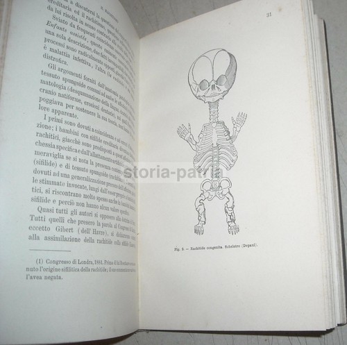MEDICINE_ORTHOPEDICS_BONES_RAC