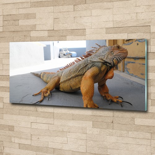 Tulup glass print wall art - glass,