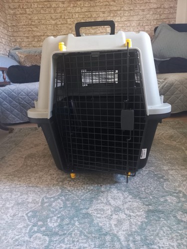 Furpaws iata approved - iata, pet