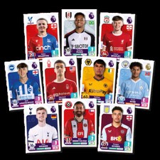 Panini Premier League 2024