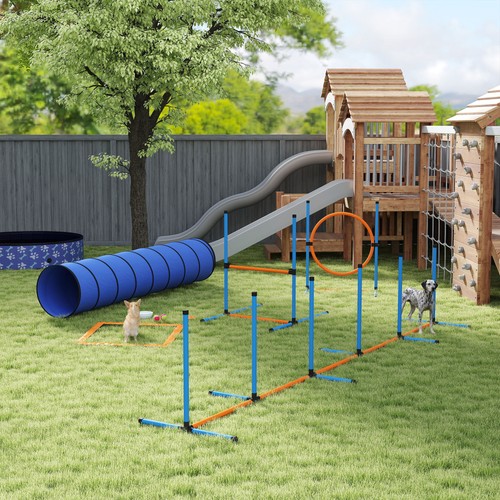 Dog agility equipment - dog, equipment,
