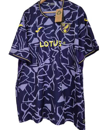 Norwich city football 3rd - norwich,