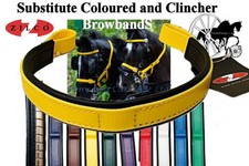 Carriage driving bridle - carriage, colour