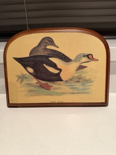 Vintage italian king - italian,