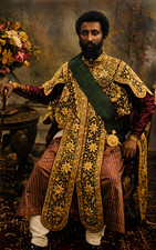 Regal Portrait of Emperor