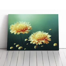 Intriguing Chrysanthemum