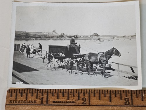 1910s casco bay - 1910s, horse