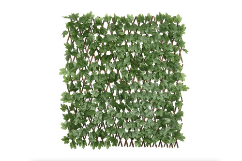 Boston ivy willow expandable - willow,