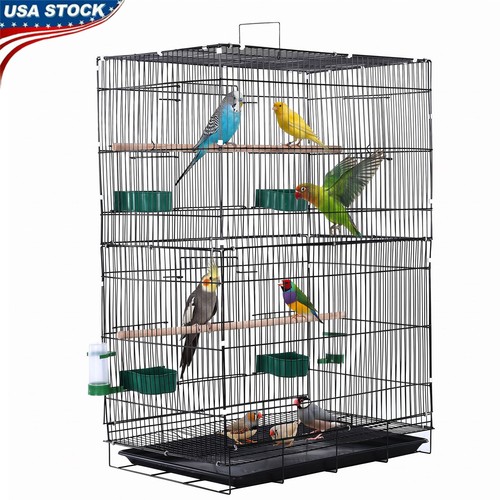 Bird flight cage hanging - bird,